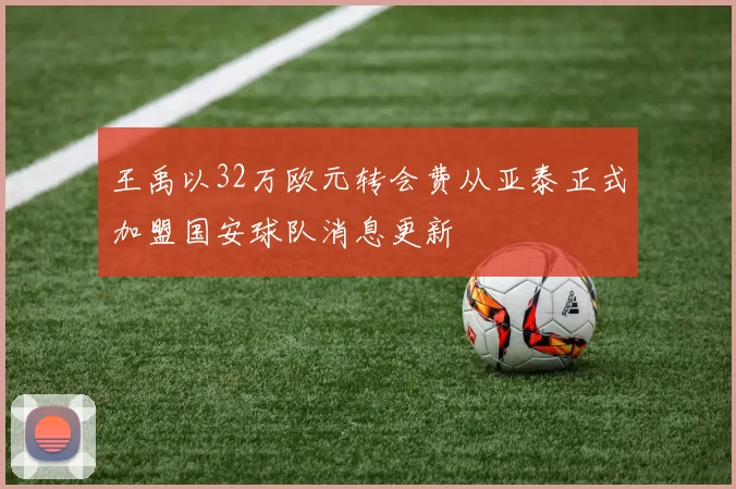 王禹以32万欧元转会费从亚泰正式加盟国安球队消息更新