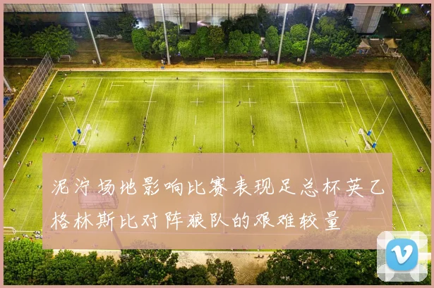 泥泞场地影响比赛表现足总杯英乙格林斯比对阵狼队的艰难较量