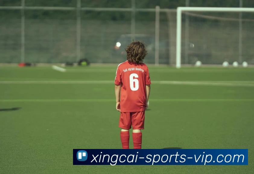 杏彩体育发展历程